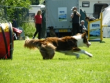 Cyanda
IMCA selectie 30 mei 2009